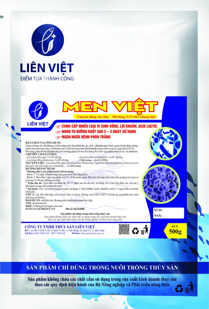 Tôm bị phân trắng 4